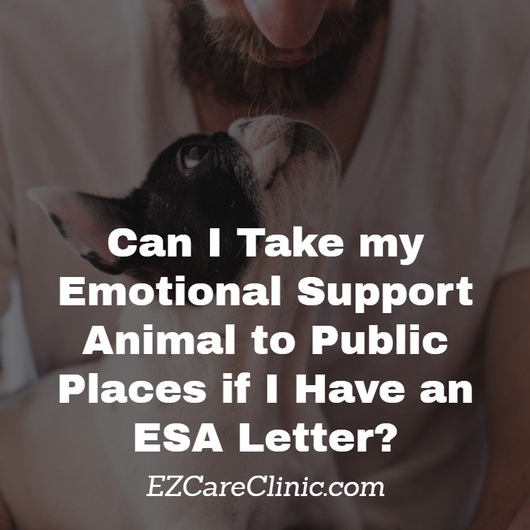 https://ezcareclinic.com/wp-content/uploads/2017/11/Can-I-Take-my-Emotional-Support-Animal-to-Public-Places-if-I-Have-an-ESA-Letter_-First-Image.jpg