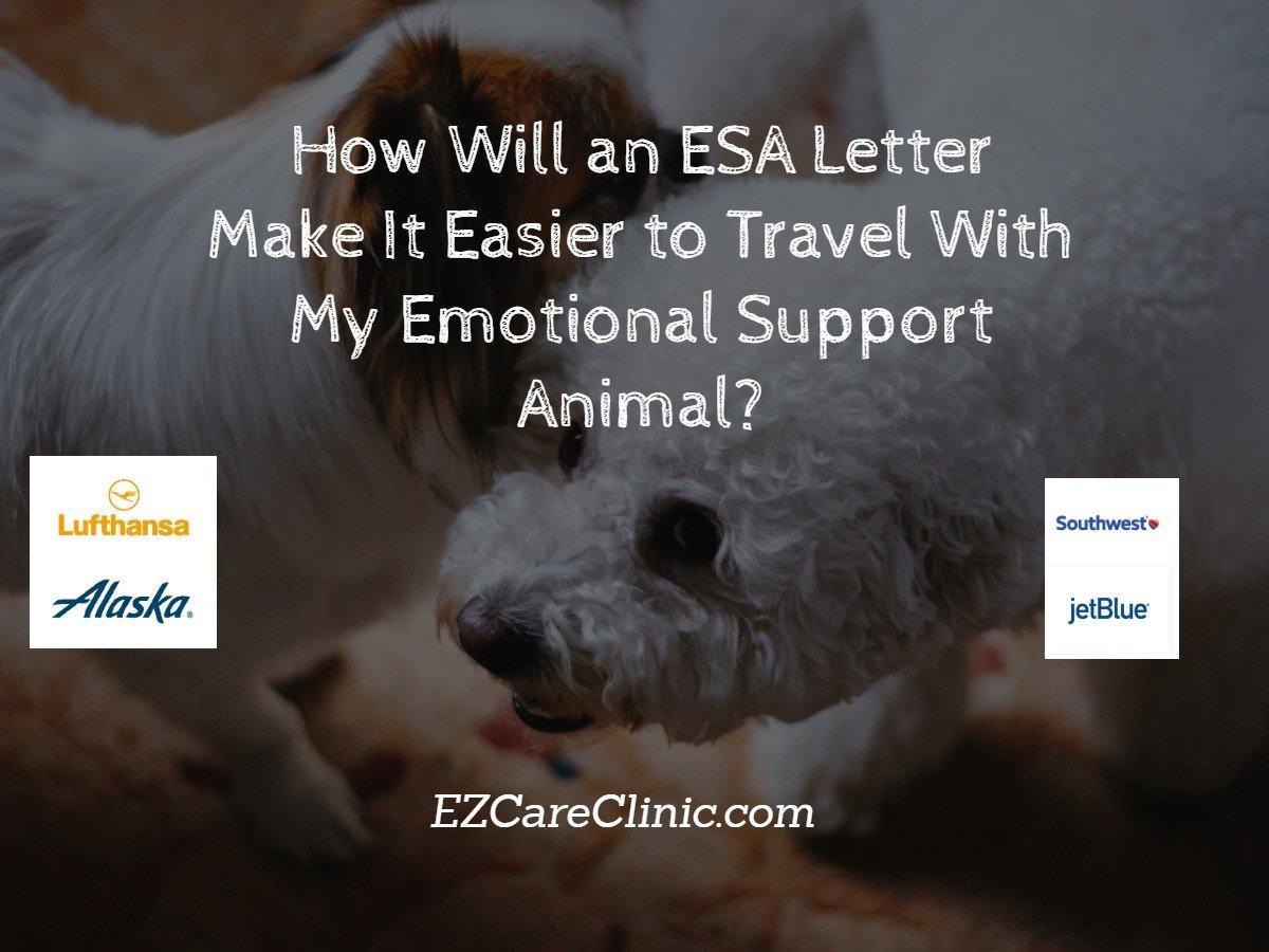 https://ezcareclinic.com/wp-content/uploads/2017/11/Emotional-Support-Animal-Airline-Pet-Policy.jpg