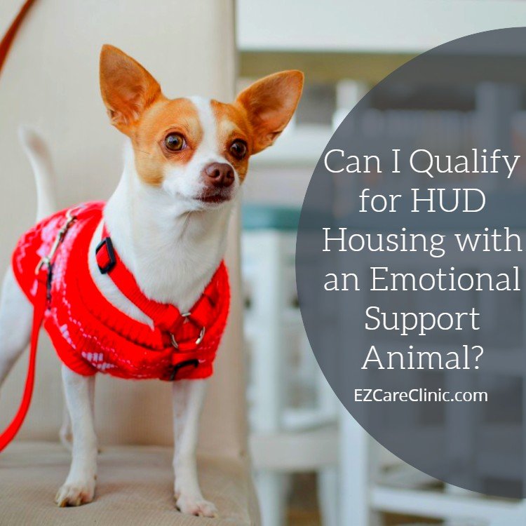https://ezcareclinic.com/wp-content/uploads/2018/02/Can-I-Qualify-for-HUD-Housing-with-an-Emotional-Support-Animal_.jpg