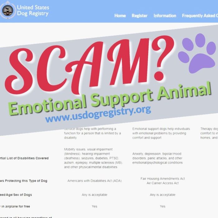 Emotional Support Animal Letter From Usdogregistry Org Reviews