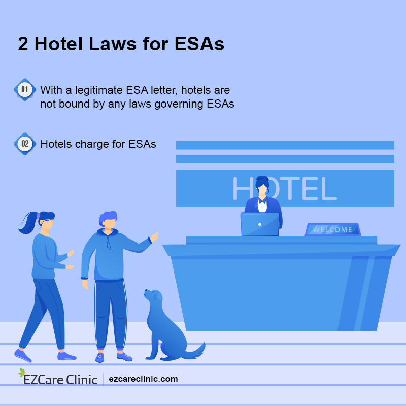 ESA Hotel laws