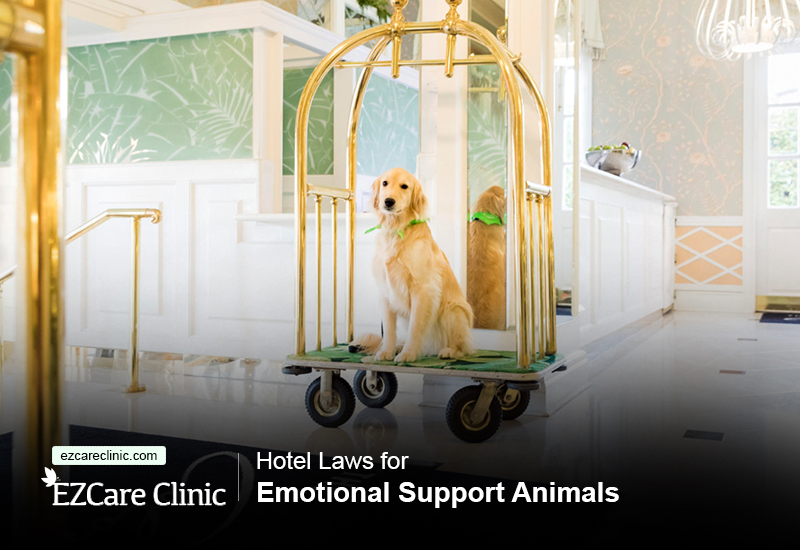 emotional support animals