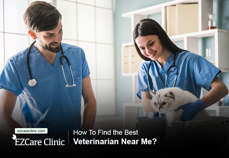 How To Find the Best Veterinarian Near Me - EzCare Medical ...