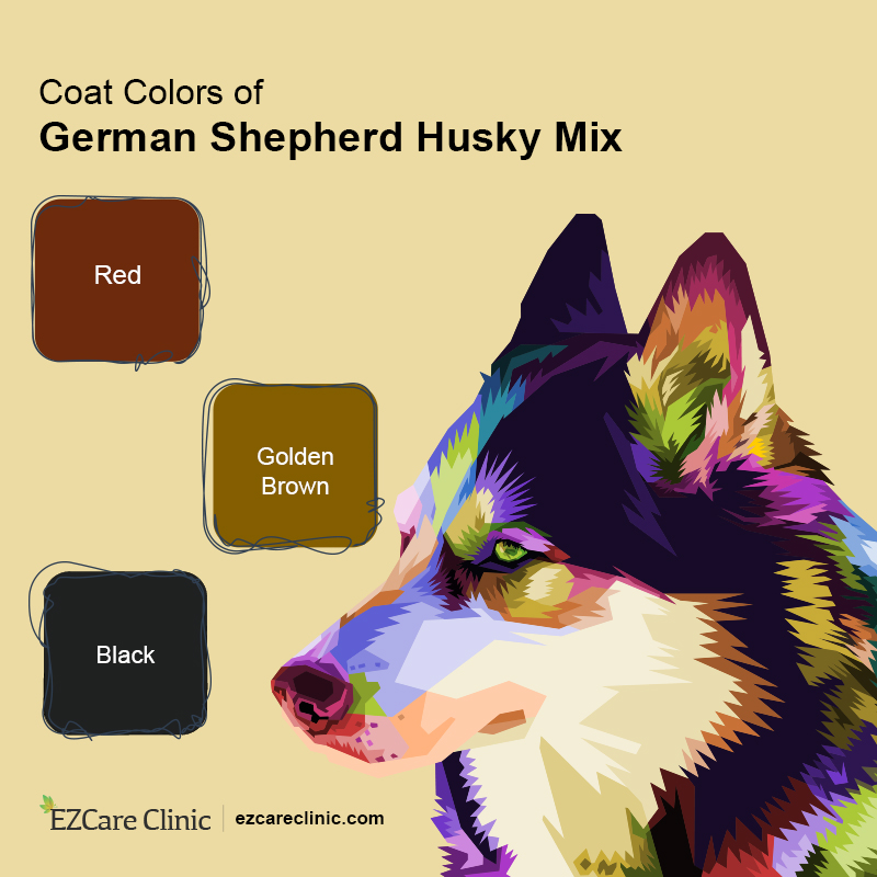 german shepherd husky