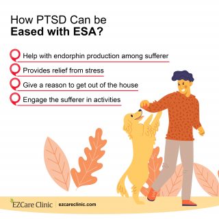 How ESA helps with PTSD