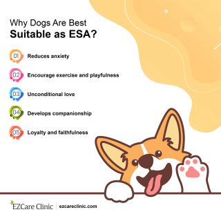 Why choose digs for ESA