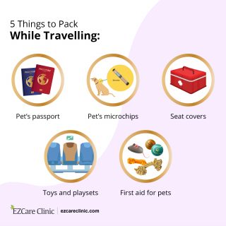 Things to pack while travelling