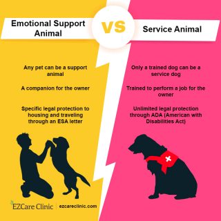 ESA vs service animal