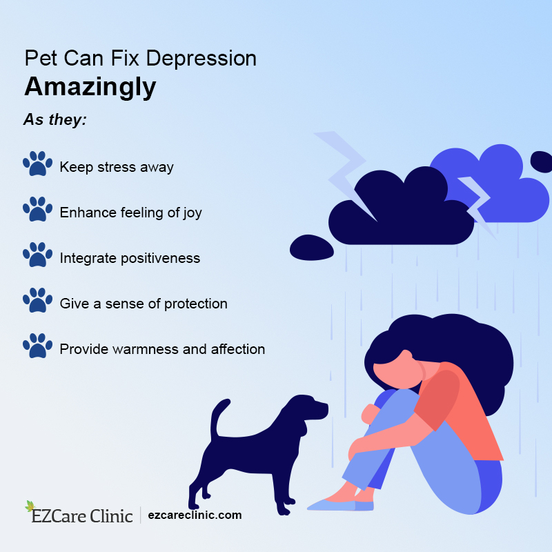 pet and depression