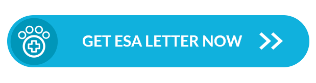 Emotional Support Animal Letter From A Licensed Esa Therapist