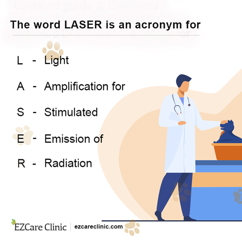 Laser Therapy 2021