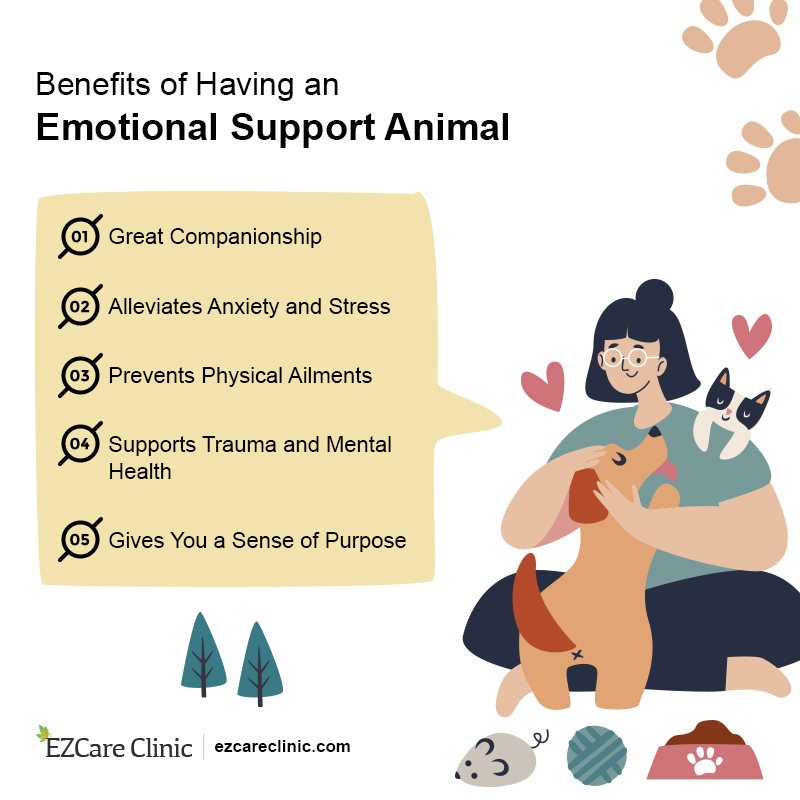 Emotional Support Animal ESA letter