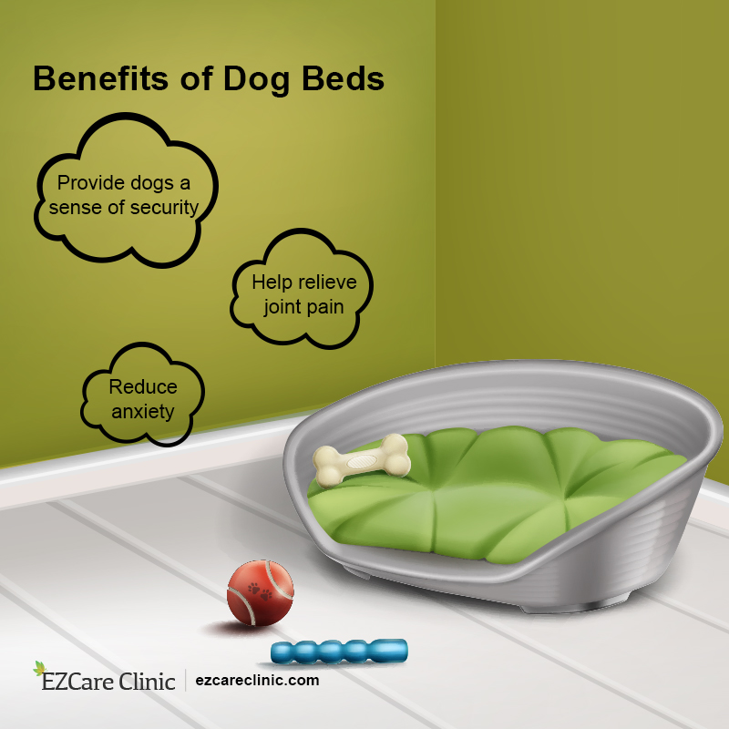 Benefits of Dog Beds